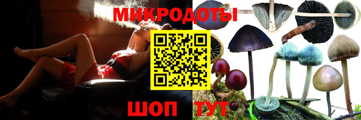 Псилоцибиновые грибы Cubensis Майский